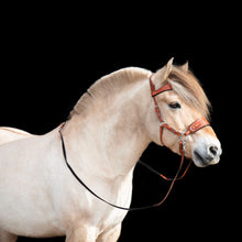 Afbeelding in Gallery-weergave laden, Western browband
