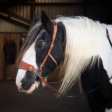 Load image into Gallery viewer, Jack western hackamore tobacco brown
