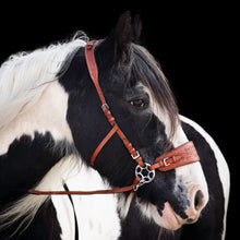 Load image into Gallery viewer, Jack western hackamore tobacco brown
