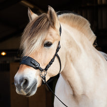 Load image into Gallery viewer, Jack western hackamore black
