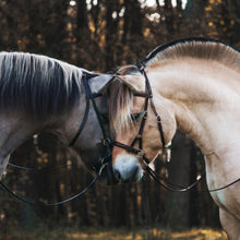 Load image into Gallery viewer, Sidepull bridle brown size full/x-full
