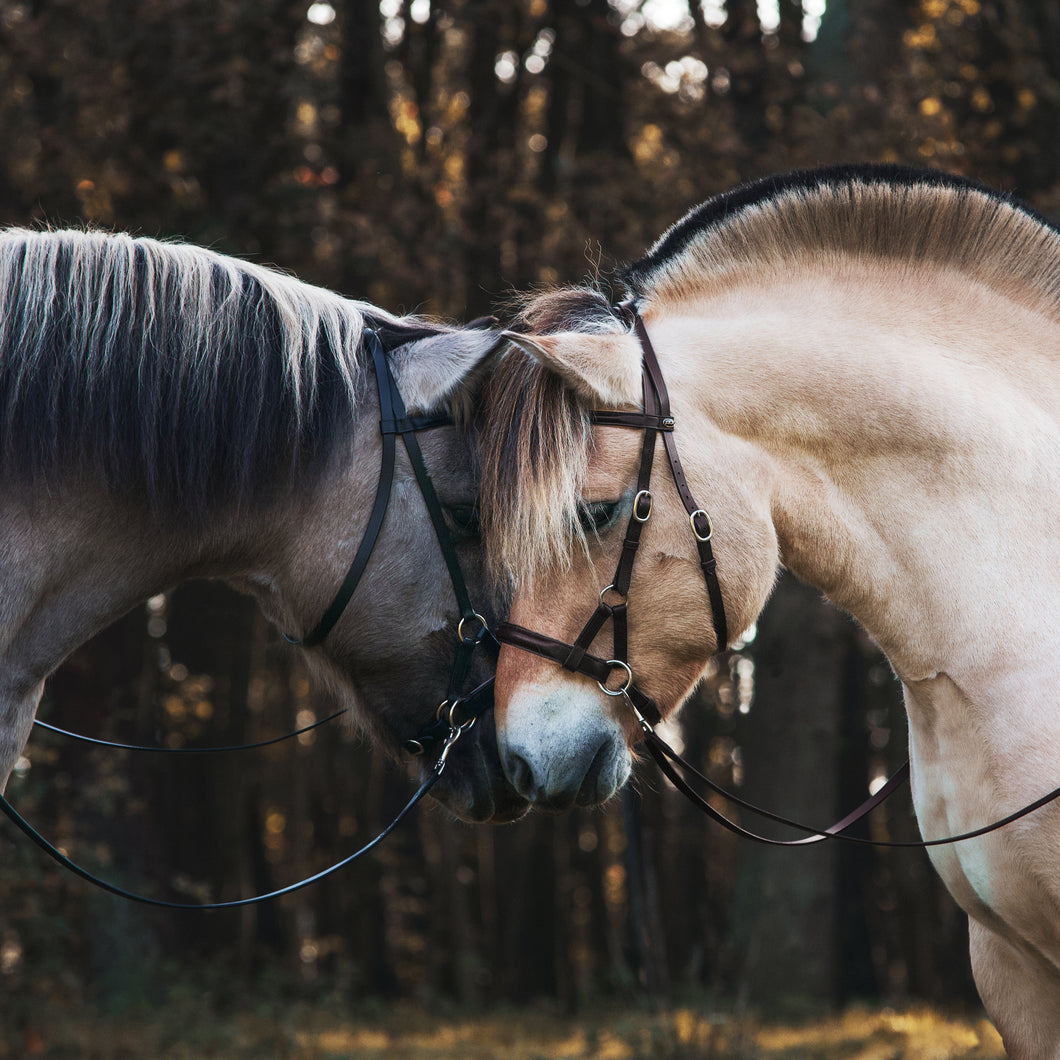 Sidepull bridle brown size full/x-full