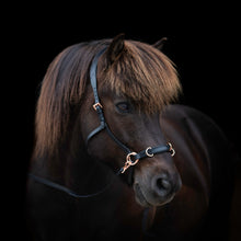 Load image into Gallery viewer, Zyara multi bridle black rosegold
