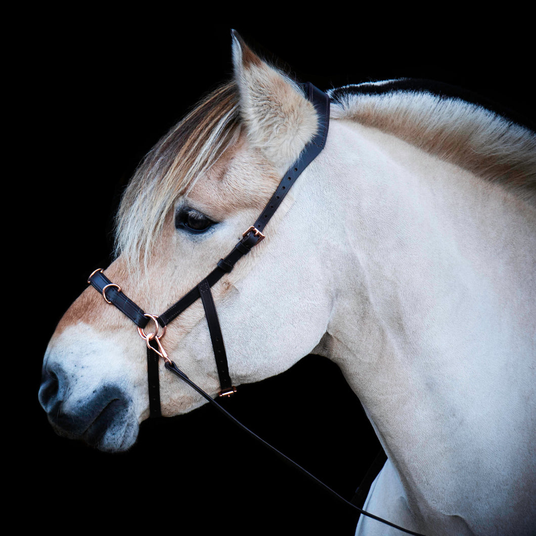 Cavesson kaptoom sidepull in 1 logeren grondwerk hoofdstel bitloos bitless multi bridle hoofdstel ringen op de neus bruin rosegold rosegoud