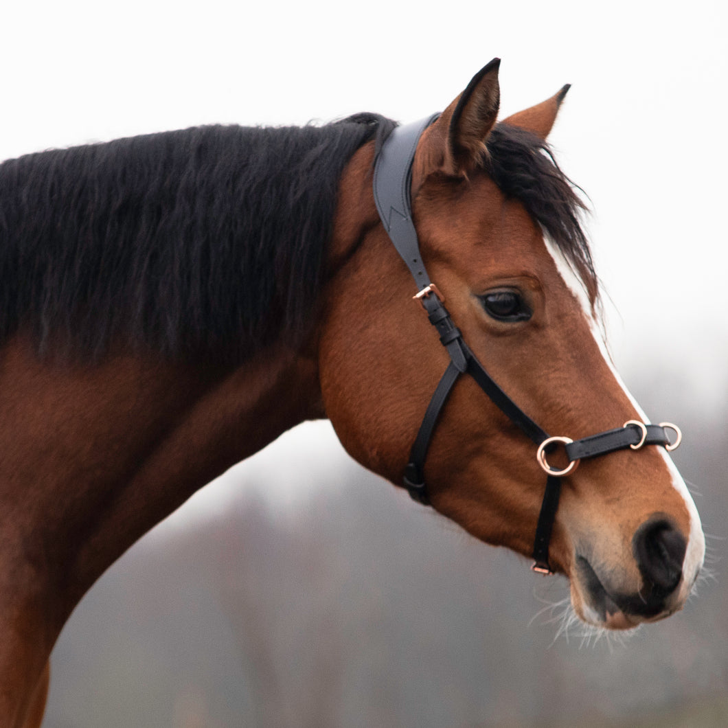 Zyara multi bridle black rosegold