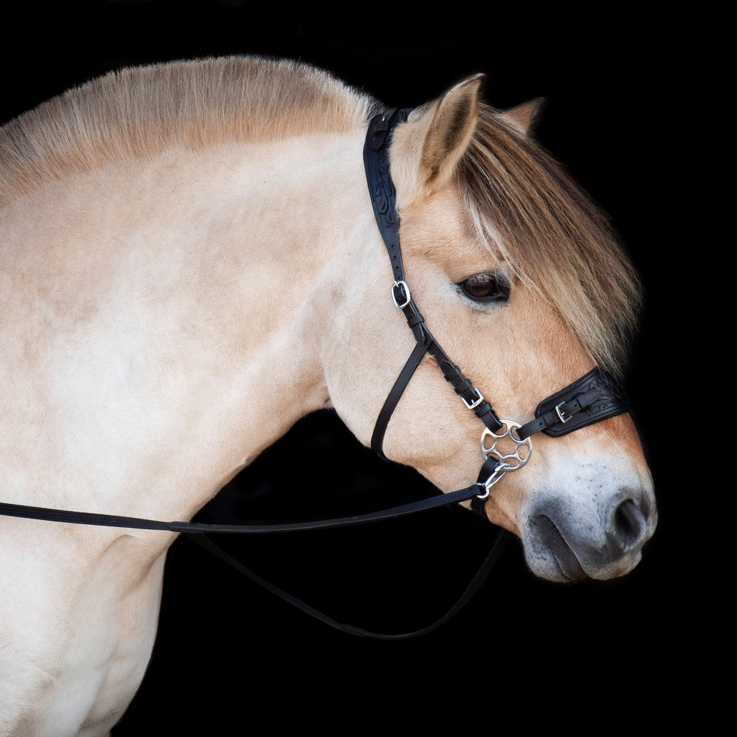 Jack western hackamore black